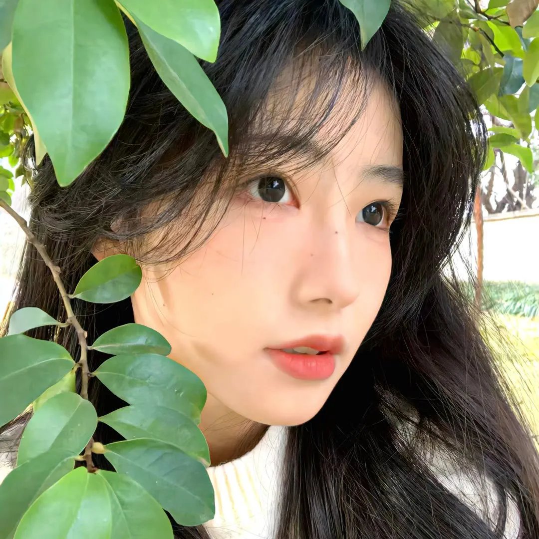 黑色芳心